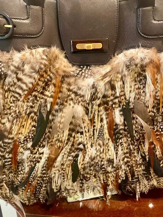 Salvatore Ferragamo Authentic, Iconic, Multicolor Pheasant Feather Bag! - Picture 3 of 9